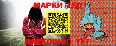 apvp Можга