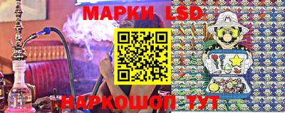 apvp Можга
