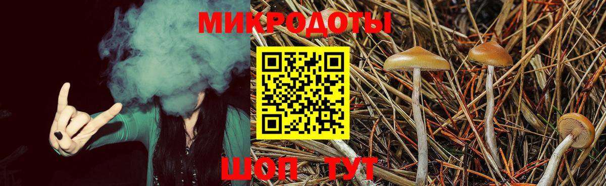 Галлюциногенные грибы Psilocybe Радужный