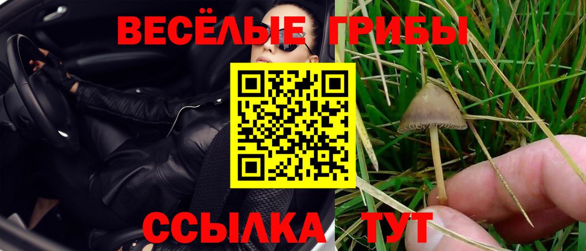 Галлюциногенные грибы Psilocybine cubensis  Галлюциногенные грибы GOLDEN TEACHER  магазин  наркотиков  Радужный  Вход с VPN 
